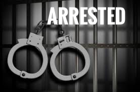 Suspect Arrested in Entering Auto Investigation